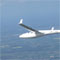 60x60svaevefly.jpg